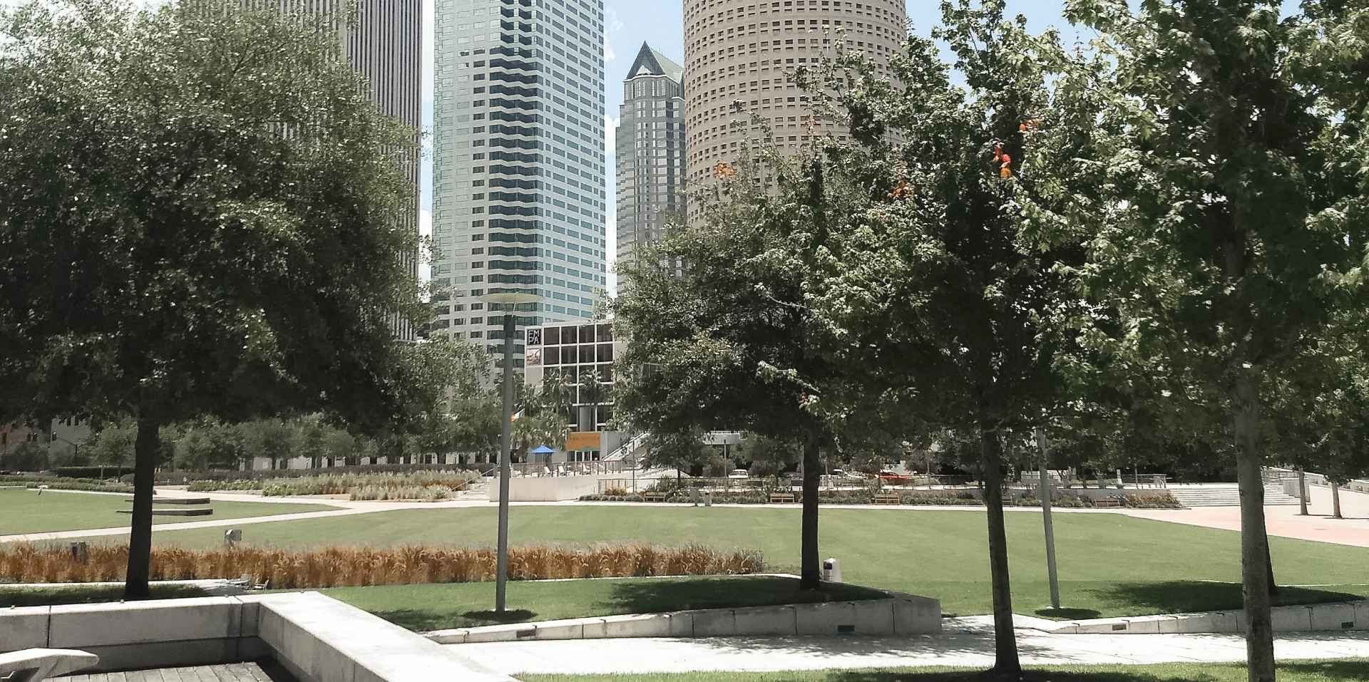 Paysagiste Rive Sud Ltée photo 2