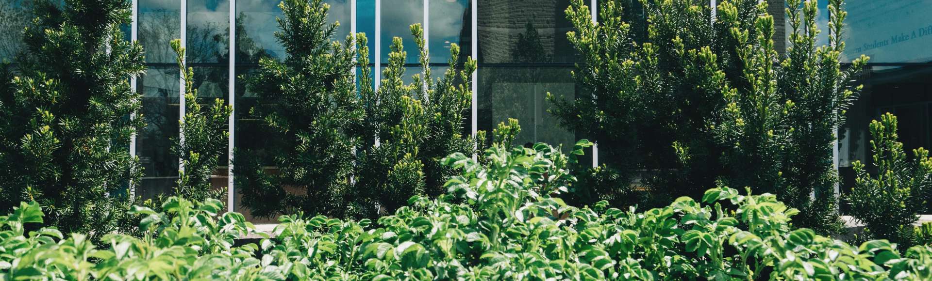 Paysagiste Rive Sud Ltée photo 6