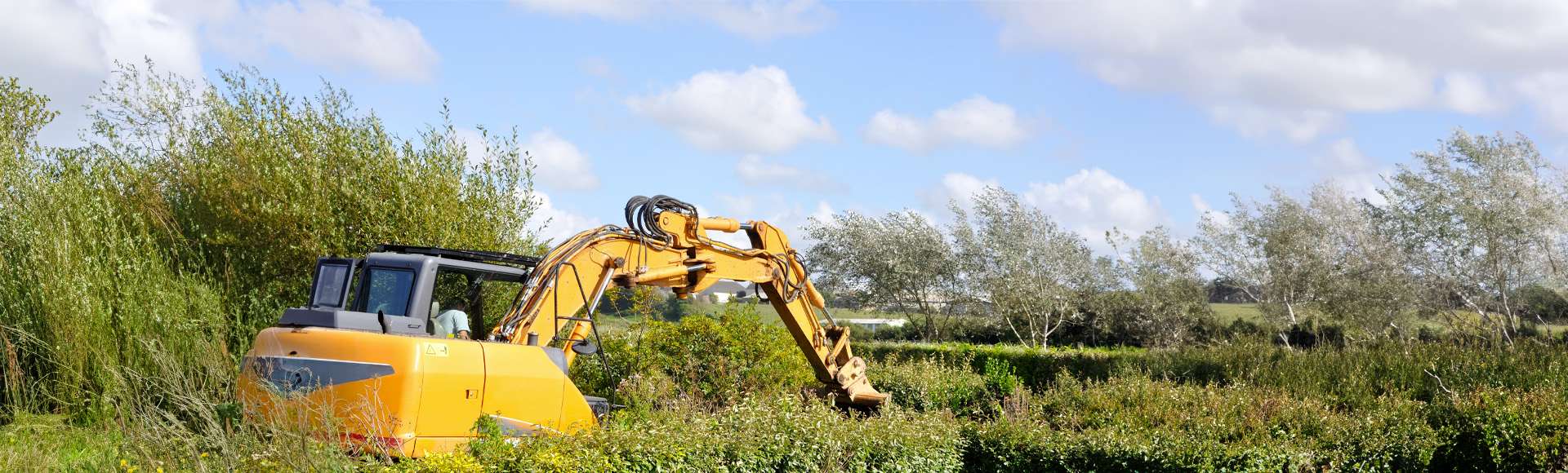 Paysagiste Rive Sud Ltée photo 4