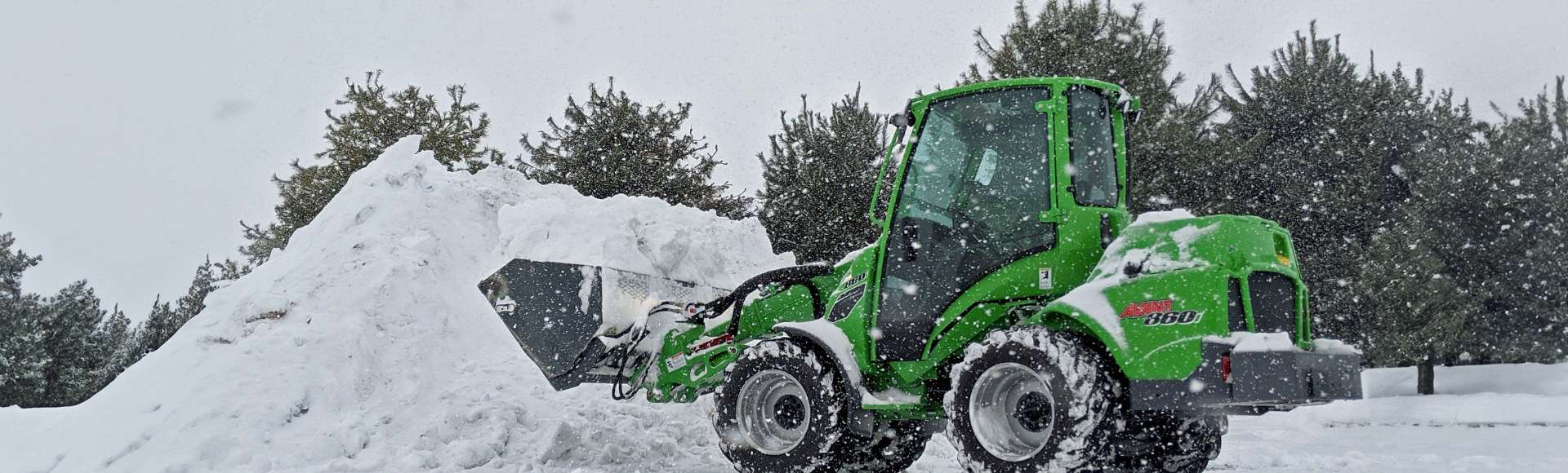 Paysagiste Rive Sud Ltée photo 3